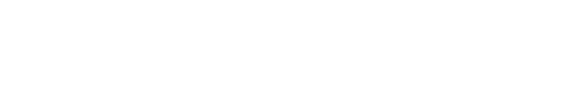 Home logo maxservice footer